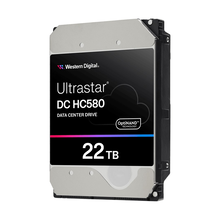 Εσωτερικός Σκληρός Δίσκος 3.5" 22TB Western Digital Ultrastar DC HC580 Serial ATA